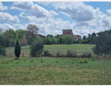 Ampio prato recintato con alberi e cespugli, sullo sfondo un complesso di edifici in muratura con una struttura alta e squadrata tra la vegetazione. Cielo azzurro con grandi nuvole sparse sopra un paesaggio rurale pianeggiante.