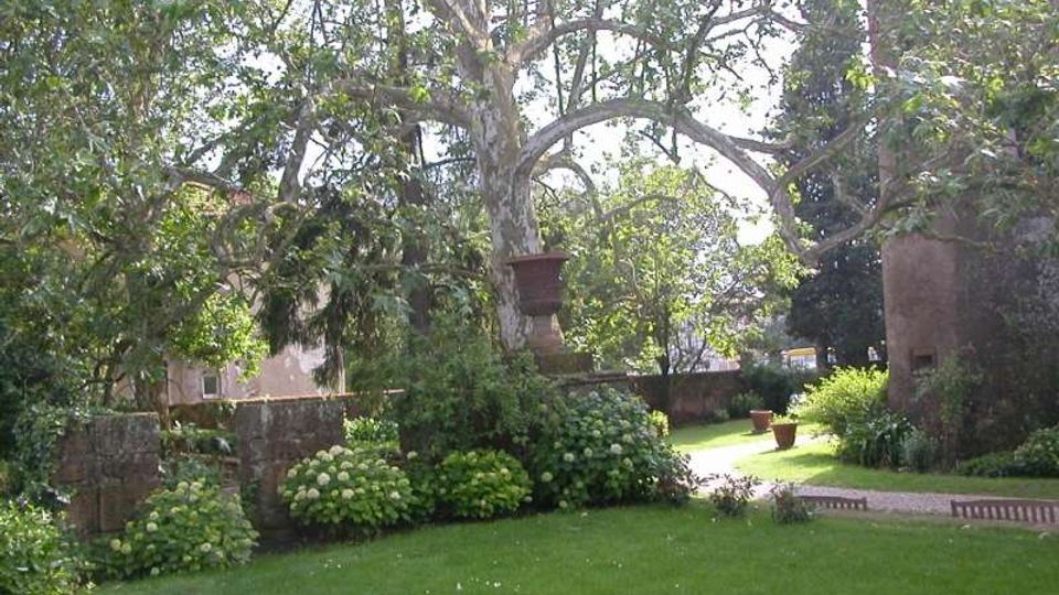 Giardino verde con prato curato e cespugli fioriti, dominato da un grande albero con tronco chiaro e rami ampi. Un muretto in pietra delimita l’area e un vialetto conduce verso vasi e vegetazione sullo sfondo.