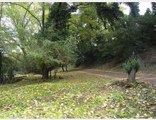 560-7683f55ba40596b23daeeb28da9eacaajpg