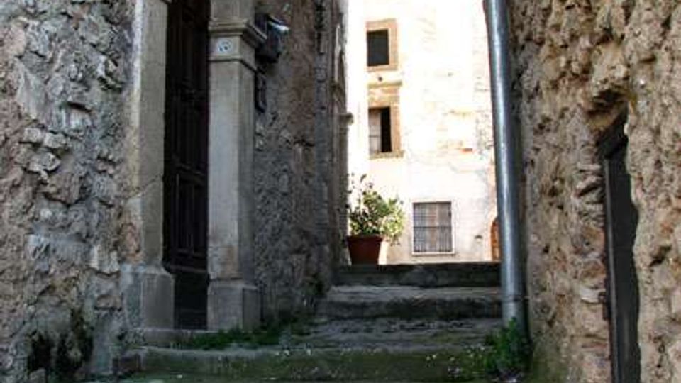 3005-e7cce4a4b85ae726340f11c94fd07ae5jpg