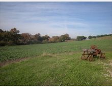 Ampio paesaggio rurale con campi coltivati e prato in primo piano, delimitato da una fila di alberi sullo sfondo sotto un cielo azzurro. Sulla destra si vede un vecchio attrezzo agricolo in metallo arrugginito con ruote.