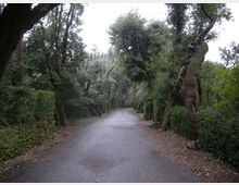 290-adfafea2999e33f5fd7420e8c6ac822djpg