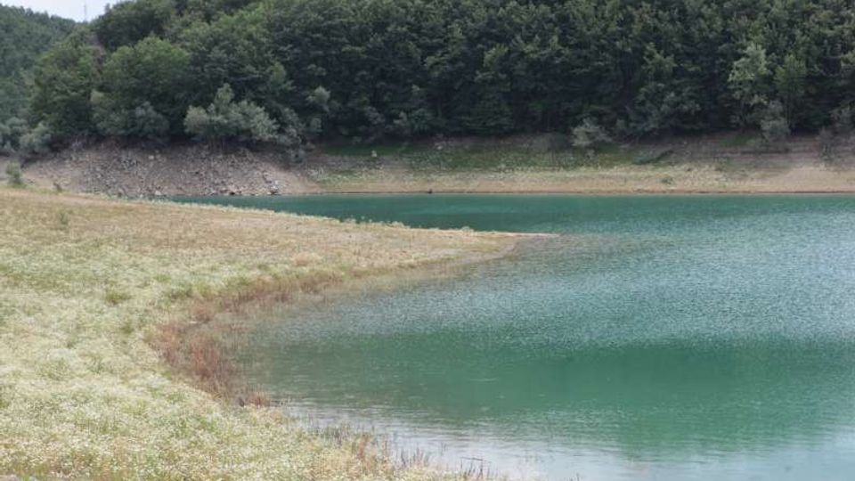 49499-photo-3-jpgjpg