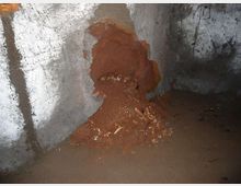 541-0088f9ee0cce0693ddb7a351bbbd264cjpg