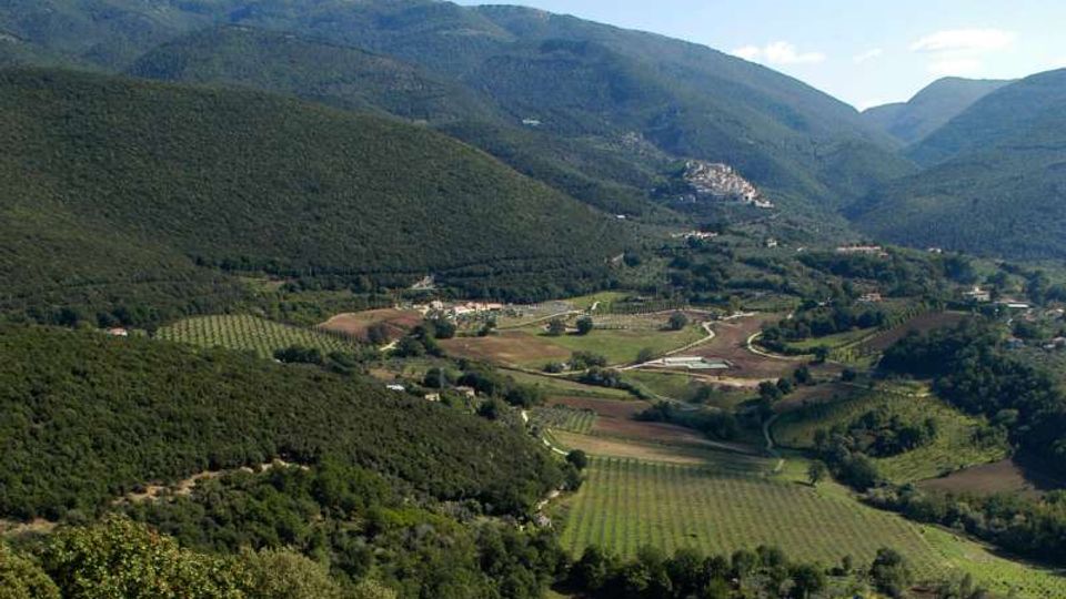 Veduta panoramica di una valle montana con campi coltivati e filari regolari, strade sinuose e piccoli nuclei di edifici sparsi. Sullo sfondo si vedono ampi versanti boscosi che circondano la pianura agricola.