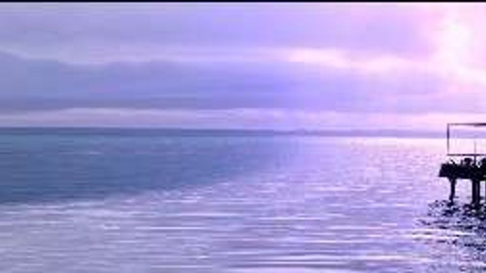 1232-2a70c2b5c1d47288c2ed04e8fd10633ajpg