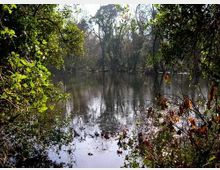 52067-photo-decima-apalud-jpgjpg