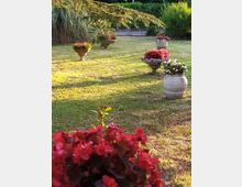 Giardino con prato e siepi sullo sfondo, con grandi vasi e coppe ornamentali disposti sul terreno e riempiti di fiori colorati. In primo piano si vede un’aiuola di fiori rossi, mentre in alto rami di un albero ombreggiano la scena.