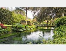 52203-photo-ninfa-jpgjpg