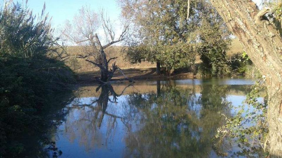 51838-photo-12650525-920368894737625-1260822070-n-jpgjpg