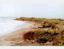 52082-photo-macchiatonda3-jpgjpg