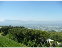 Veduta panoramica da un pendio collinare con vegetazione e alberi in primo piano, affacciata su una vasta pianura con campi e insediamenti. Sullo sfondo si intravedono catene montuose lontane sotto un cielo sereno.