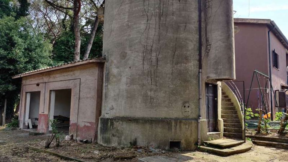 58055-photo-img-20210616-100259-jpgjpg