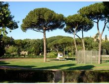 Ampio prato di un parco con alti pini marittimi dalla chioma a ombrello, circondato da alberi e vegetazione. In primo piano si vede una recinzione metallica e, sul lato destro, una rete protettiva che delimita un’area sportiva.