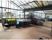 Interno di una serra con struttura in metallo e ampie pareti e tetto in vetro, illuminata da luce naturale. Al centro ci sono tavoli da lavoro con contenitori, secchi e attrezzature, con scaffalature e materiali di stoccaggio lungo i lati su pavimento in cemento.