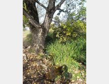 560-c533f665f5672b61820045f0b0b779d5jpg