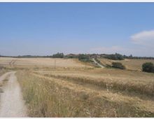 Strada sterrata che attraversa ampi campi di grano e vegetazione secca in una campagna pianeggiante, con un piccolo borgo di case lontano all’orizzonte. Cielo azzurro limpido sopra il paesaggio rurale.