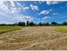 Ampio campo di fieno appena falciato con strisce di erba tagliata e alcune balle al centro. Sullo sfondo si vedono alberi e case di campagna lungo l’orizzonte sotto un cielo azzurro con nuvole sparse.