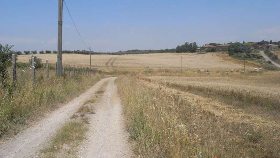 Strada sterrata di campagna che attraversa campi di grano mietuti, con recinzione e palo della luce lungo il bordo sinistro. All’orizzonte si vedono dolci colline con alberi e un piccolo gruppo di case sotto un cielo limpido.