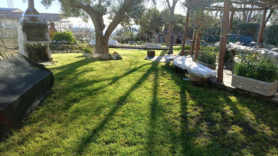 Giardino con prato verde e grandi alberi, con un barbecue in muratura sulla sinistra e un pergolato in legno sulla destra. Sono presenti aiuole e vasi lungo il bordo, con luce solare che crea lunghe ombre sul prato.