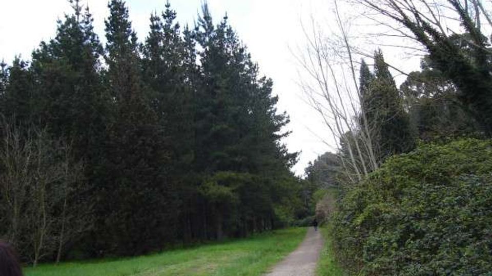 51789-photo-cellulosa-dsc05785-600-x-450-jpgjpg