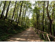 52127-photo-rn-nomentum3-800-jpgjpg