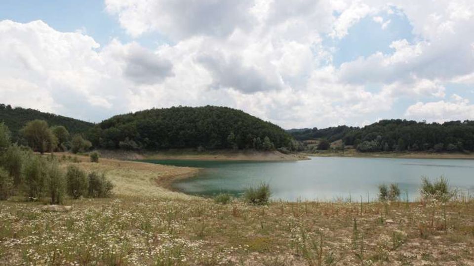 49507-photo-12-jpgjpg