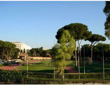 Complesso sportivo all’aperto con pista di atletica rossa che circonda un campo in erba, recintato e illuminato da alti pali. Intorno si vedono alberi ad alto fusto e, sullo sfondo, un grande edificio bianco sotto un cielo sereno.