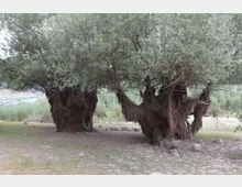 49504-photo-9-jpgjpg