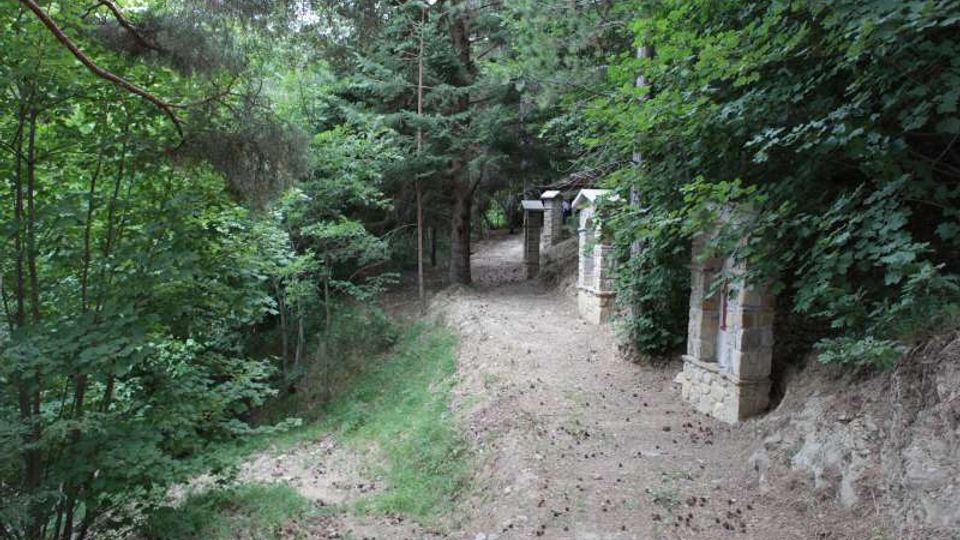 Sentiero sterrato in un bosco fitto, circondato da alberi e vegetazione, con una serie di piccoli pilastri o cappelle in pietra lungo il lato destro. Il percorso curva leggermente e presenta terreno irregolare con aghi e pigne sparse.