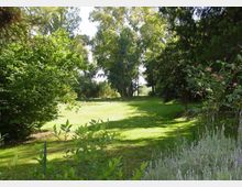 52028-photo-massimi-jpgjpg