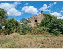 Rudere di una casa rurale in muratura con intonaco degradato, finestra senza infissi e piccolo comignolo sul tetto. L’edificio è parzialmente coperto da vegetazione fitta e alberi, con terreno erboso secco in primo piano e cielo azzurro con nuvole sullo sfondo.
