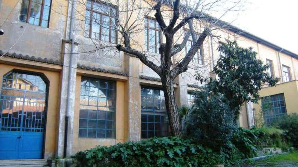 Facciata di un edificio a due piani con intonaco giallo e grigio, grandi finestre rettangolari e portone blu con vetri. Davanti si trova un cortile con un grande albero spoglio e aiuole con arbusti e vegetazione bassa.