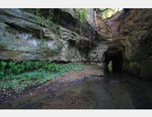 Gola rocciosa con pareti stratificate e muschio, attraversata da un ruscello poco profondo con foglie sul fondo. A destra si apre un tunnel naturale nella roccia, con vegetazione che pende dall’alto e luce visibile in lontananza.