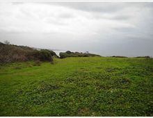 612-3ae0b1dbf4a2c13ad15315fbec406f80jpg