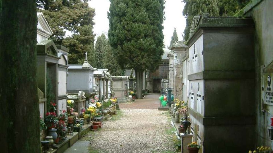 Viale di un cimitero con sentiero in ghiaia, fiancheggiato da cappelle e loculi in muratura e pietra. Ai lati si vedono molti vasi di fiori e alti cipressi che incorniciano il percorso.