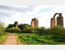 51921-photo-pasquetta-campestre-2-jpgjpg