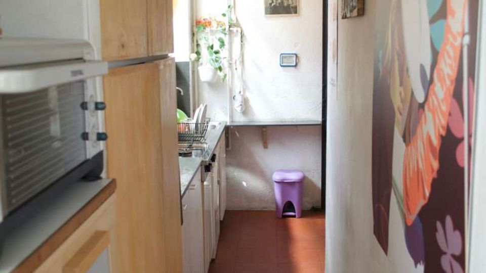Cucina stretta e lunga in stile corridoio, con armadietti in legno chiaro e piano di lavoro con lavello sul lato sinistro. In fondo una finestra luminosa con piante e un piccolo cestino viola, mentre sulla parete destra è appeso un grande quadro decorativo.