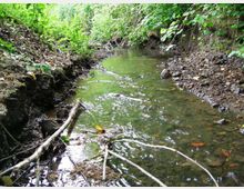 51836-photo-passeggiata-nella-gola-del-torrente-2-jpgjpg