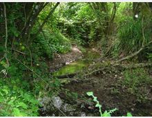 51843-photo-limpida-chiara-e-trasparente-jpgjpg