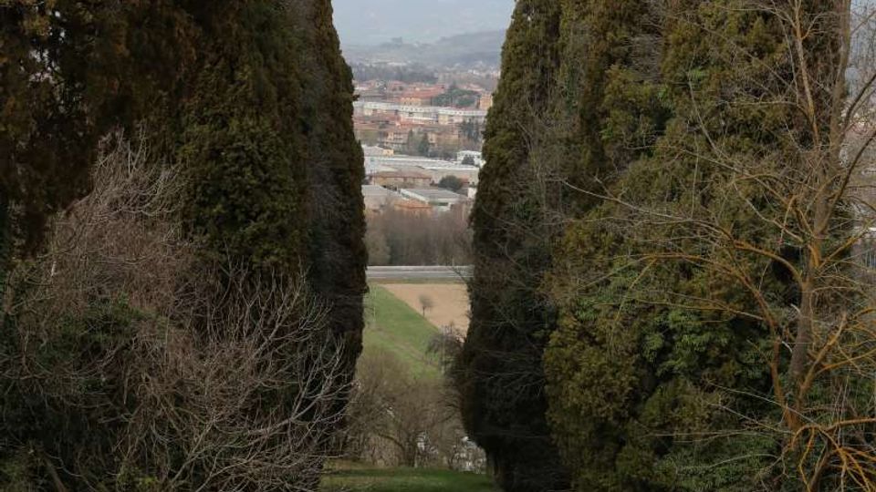 50763-photo-576a3222-jpgjpg