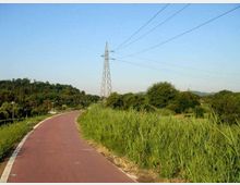 Pista ciclopedonale asfaltata color rosso che curva attraverso un’area verde con erba alta e alberi. Sullo sfondo si vede un traliccio dell’alta tensione con cavi elettrici che attraversano il cielo sopra le colline.