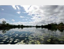 51985-photo-lago-lungo-jpgjpg