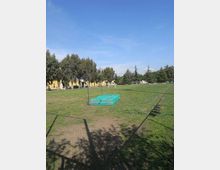 Campo sportivo all’aperto con area verde e una pedana per salto in alto con materasso verde e due aste verticali. Sullo sfondo si vedono alberi, alcune porte da calcio e edifici bassi lungo il perimetro.