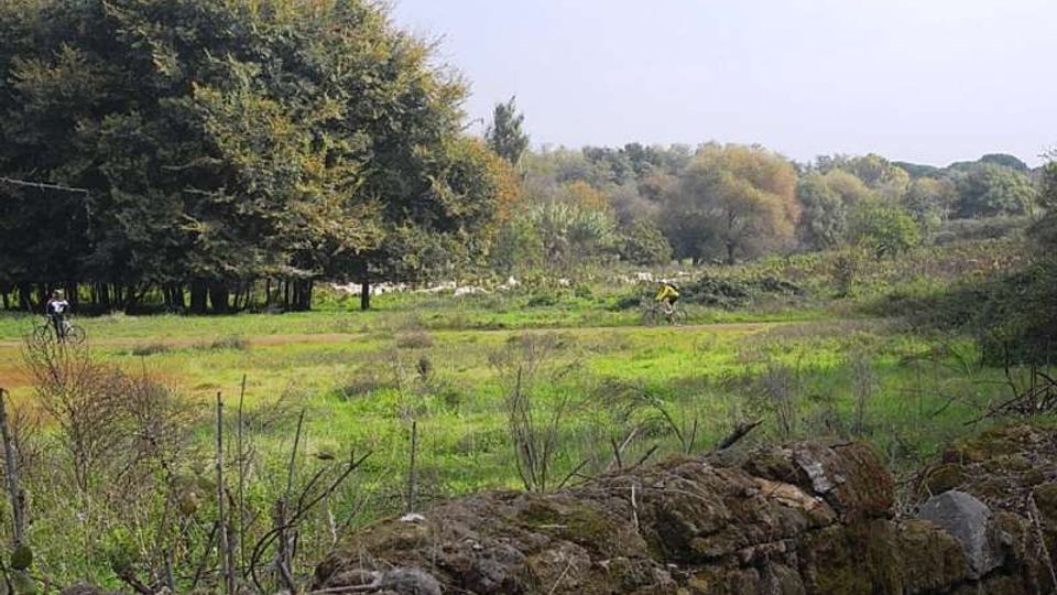 560-d864224a1b5e115f663e0ecad6d4e94cjpg