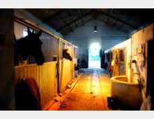Interno di una scuderia con corridoio centrale pavimentato e file di box in legno e metallo su entrambi i lati. Lampade a soffitto, attrezzature appese alle pareti e una grande vasca rotonda in cemento sulla destra, con un portone aperto in fondo che lascia entrare luce dall’esterno.