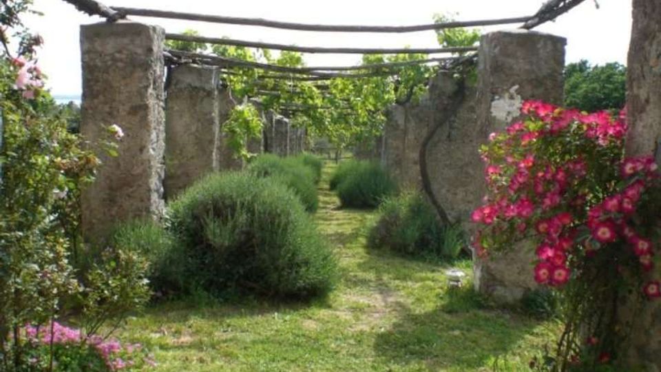 312-beaaf0e09e0e1dccf2a9a6ff651b4210jpg