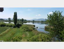 51981-photo-img-20170522-wa0029-jpgjpg