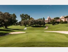 55778-photo-campo-1-jpgjpg