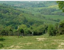 52133-photo-rn-nomentum2-800-jpgjpg